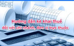 Pháp luật quy định như thế nào về khai thuế của chi nhánh?