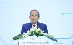 Phó Thủ tướng Thường trực dự và phát biểu tại Hội nghị Thượng đỉnh kinh doanh Việt Nam