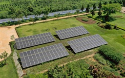 Vinamilk dẫn đầu TOP 100 doanh nghiệp bền vững Việt Nam năm 2020