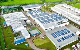 Tetra Pak đạt thứ hạng cao nhất trong chống biến đổi khí hậu và bảo vệ rừng