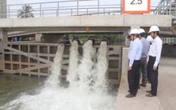 EVNSPC: Cung cấp điện bảo đảm cho tưới tiêu chống hạn mặn