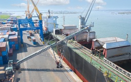 Cảng Chu Lai: Phấn đấu trở thành Trung tâm giao nhận-vận chuyển hàng hóa xuất nhập khẩu quốc tế