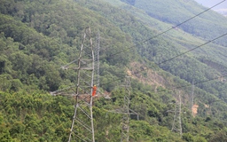 EVNCPC đẩy mạnh chuyển đổi số trong quản lý vận hành lưới điện