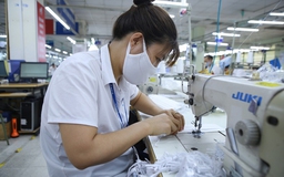 Giải ngân 145 tỷ đồng trả lương phục hồi sản xuất