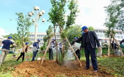 Infographic: Lâm Đồng phát động trồng mới 50 triệu cây xanh