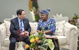 Thủ tướng Phạm Minh Chính gặp lãnh đạo các nước, các tổ chức quốc tế