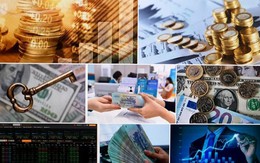 Chỉ đạo, điều hành của Chính phủ, Thủ tướng Chính phủ nổi bật tháng 11/2025