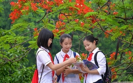 Thủ tướng chỉ đạo 3 vấn đề nóng trong giáo dục