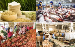 Chỉ đạo, điều hành của Chính phủ, Thủ tướng Chính phủ nổi bật tuần từ 3-9/5/2025
