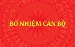 Thủ tướng điều động, bổ nhiệm nhân sự
