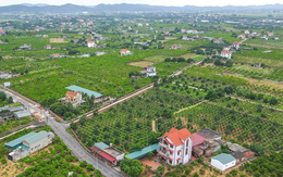 Tháo gỡ vướng mắc các dự án đất đai và triển khai Chương trình mục tiêu quốc gia