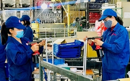 Chỉ đạo, điều hành của Chính phủ, Thủ tướng Chính phủ nổi bật tuần từ 14-20/3/2026