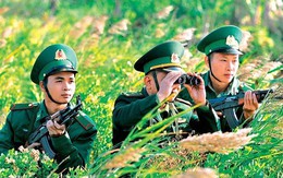 Quy định xử phạt vi phạm hành chính trong quản lý, bảo vệ biên giới quốc gia