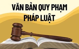 Xử lý triệt để tình trạng chậm ban hành văn bản quy định chi tiết luật, pháp lệnh, nghị quyết