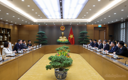 Thủ tướng tiếp Trưởng đại diện của IMF: Không nhiều nước có thể tiến hành những cải cách như Việt Nam