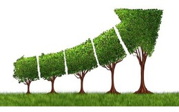 National steering committee on green growth established