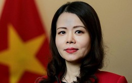 New Deputy Minister of Foreign Affairs appointed