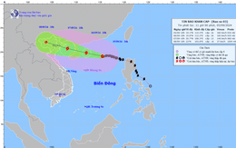 Gov't chief demands high readiness to brace for superstorm Yagi