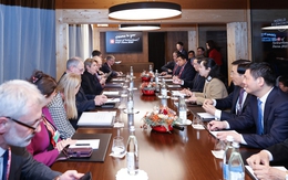 Prime Minister Pham Minh Chinh meets Swiss President in Davos