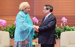 UN Deputy Secretary-General hails Viet Nam's leadership role in green transition process