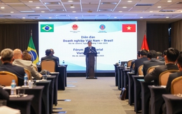 Kết nối doanh nghiệp, kết nối 2 nền kinh tế Việt Nam - Brazil