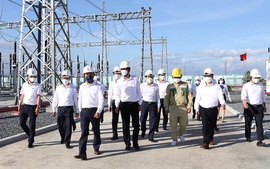 Dồn lực giải tỏa tối đa công suất các nguồn năng lượng tái tạo tại Ninh Thuận