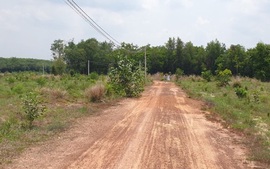 Chuyển mục đích sử dụng đất tại 2 tỉnh Long An, Đồng Tháp