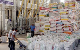 Xuất cấp gạo cho các địa phương dịp Tết Nguyên đán và giáp hạt đầu năm 2022