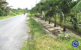 Công nhận huyện Gò Công Tây (Tiền Giang) đạt chuẩn nông thôn mới