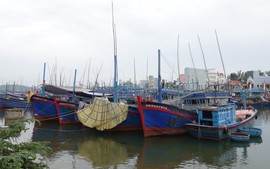 Bình Định nỗ lực ngăn chặn tình trạng khai thác thủy sản bất hợp pháp