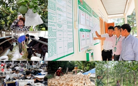 20 năm làm tín dụng chính sách xã hội bằng cả trái tim
