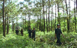 Đề xuất kinh phí hỗ trợ hoạt động bảo vệ rừng