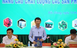 Nâng cao chất lượng sản phẩm OCOP tỉnh Bắc Giang năm 2022