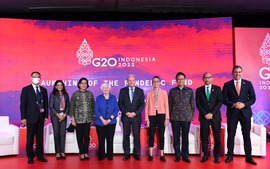 G20 ra mắt Quỹ ứng phó đại dịch toàn cầu