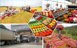 Thúc đẩy doanh nghiệp tham gia trực tiếp các mạng phân phối nước ngoài