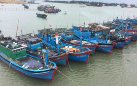 Quảng Trị bảo đảm an toàn cho ngư dân vươn khơi trong mùa mưa bão