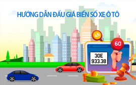 Infographics: Hướng dẫn đấu giá trực tuyến biển số ô tô