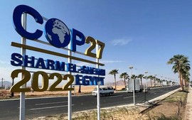 Hội nghị COP27: Cơ hội tuyệt vời cho hành động vì khí hậu