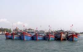Quảng Ngãi: Nỗ lực cứu hộ tàu cá bị chìm, ngư dân mất tích trên biển