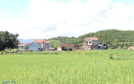 Huyện miền núi Sơn Động (Bắc Giang) xây dựng nông thôn mới