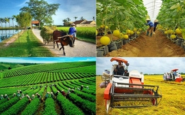 Điều kiện thành lập đơn vị sự nghiệp công lập ngành nông nghiệp và phát triển nông thôn
