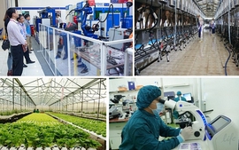 Cải cách đột phá đã tiếp sức cho người dân và doanh nghiệp