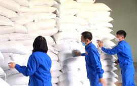 Cấp gạo cho 3 tỉnh hỗ trợ nhân dân dịp Tết Nguyên đán