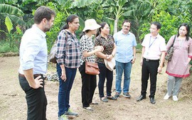 Nhiều định chế tài chính quốc tế 'kiểm định' chất lượng NHCSXH Việt Nam