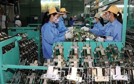 TPHCM: Thúc đẩy phát triển CNHT về cả số lượng và chất lượng