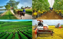 Sửa đổi Luật Hợp tác xã năm 2012 có ý nghĩa quan trọng, mang tính đột phá