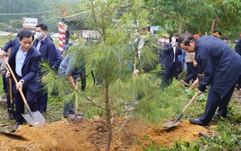 Thừa Thiên Huế đồng loạt ra quân Tết trồng cây Xuân Nhâm Dần
