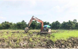 Chuyển mục đích sử dụng đất tại tỉnh Đồng Tháp