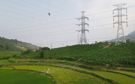 Chặng nước rút tại dự án đường dây 220 kV Lào Cai - Bảo Thắng