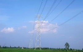 Bảo đảm tiến độ thu tiền thuê đất Hệ thống đường dây truyền tải điện